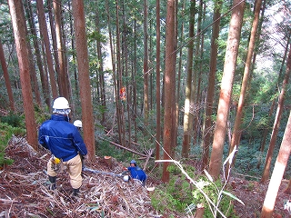 三浦間伐隊・特別NPV活動_f0126949_654021.jpg