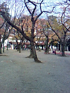 今年最後の清掃奉仕~靖国神社にて~_b0169850_20542214.jpg