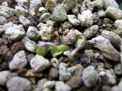 c0147952_13503590.jpg