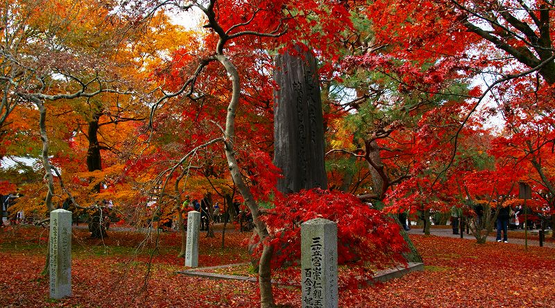 京のもみじ路２００９ （東山 東福寺 通天橋の紅葉）（2009年11月29日)_c0119555_23453519.jpg