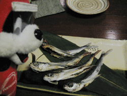 b0159557_19364052.gif