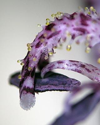 e0035757_23244211.jpg