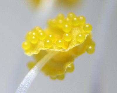 e0035757_23342596.jpg