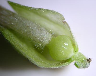 e0035757_23353528.jpg