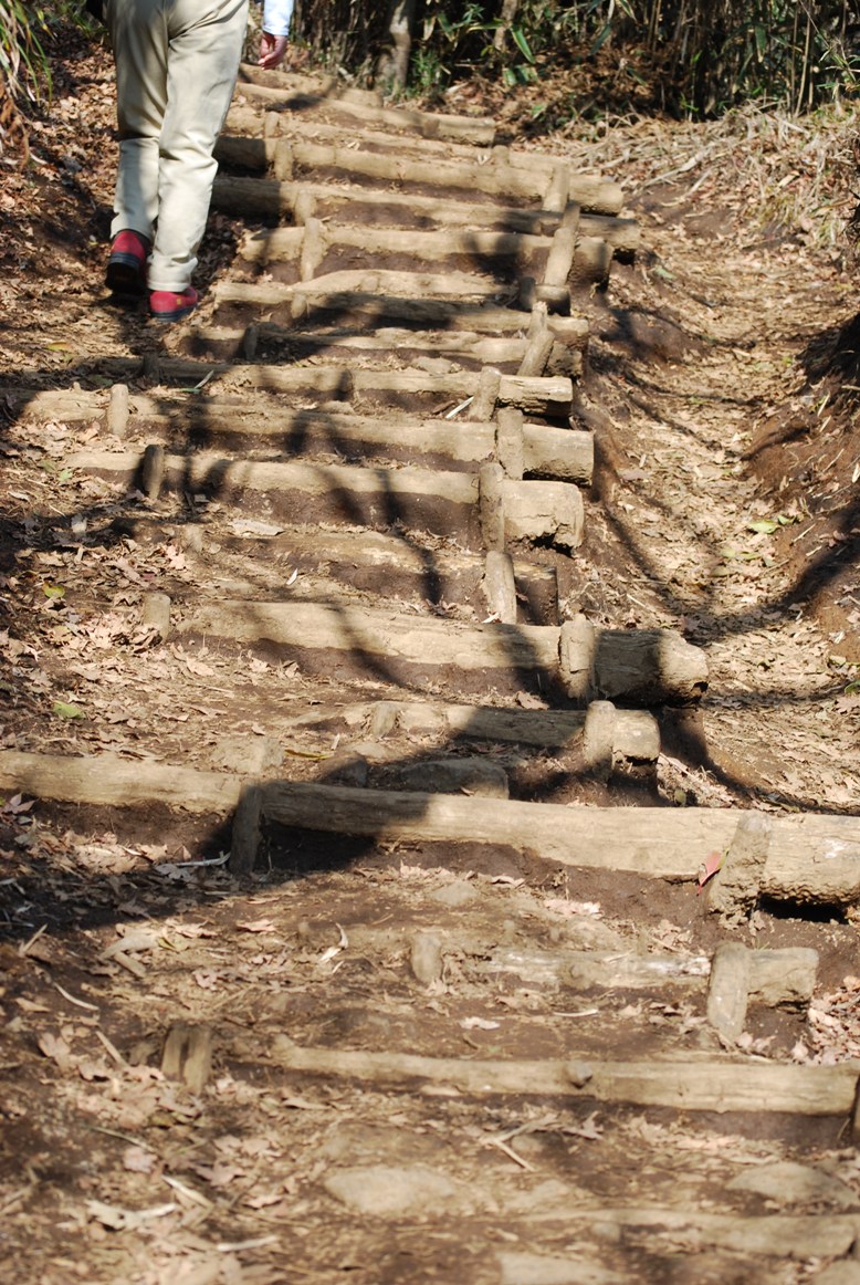 f0161757_15534614.jpg