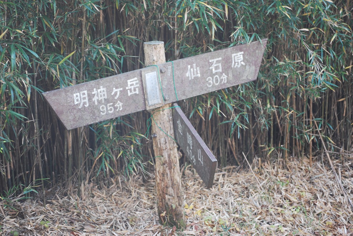f0161757_1803332.jpg