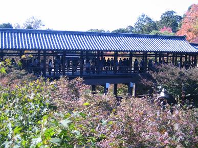 京都・大阪小旅行　3.東福寺　方丈庭園_c0124359_021598.jpg