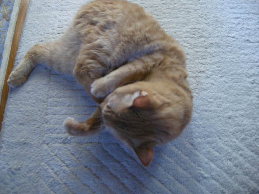 c0080861_10383314.jpg