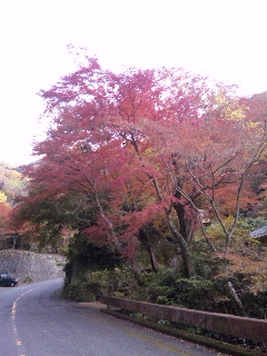 山が燃えてる_c0207861_1444943.jpg