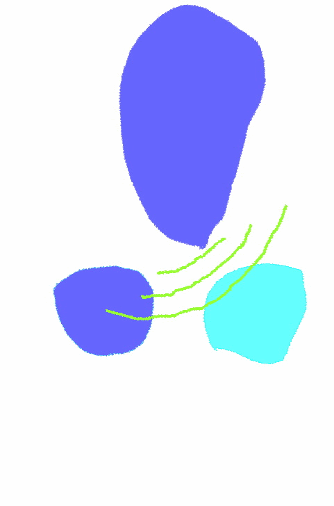 a0134863_5115087.gif