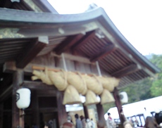 c0131164_23472344.jpg