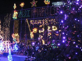 f0150364_11397.jpg