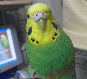 f0196665_10811.jpg