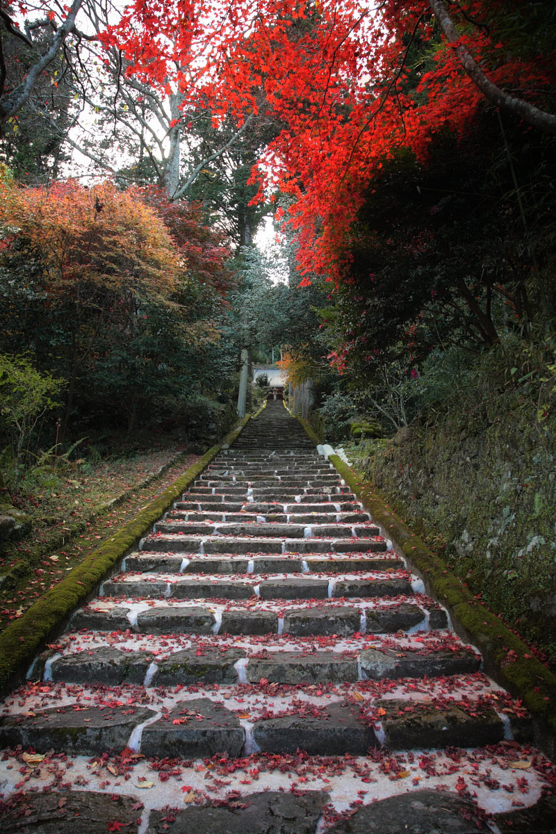  丹波紅葉オフ　<竹林山常勝寺>　　4_f0021869_21162717.jpg