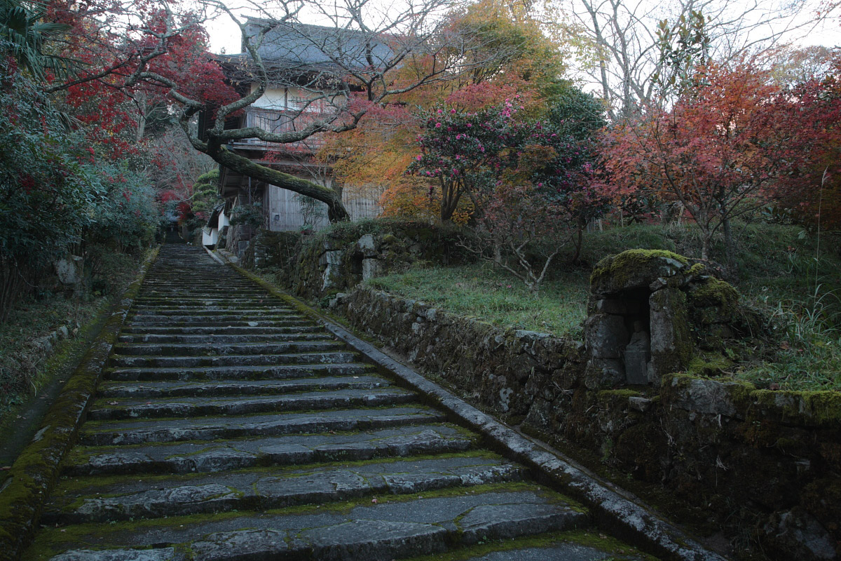  丹波紅葉オフ　<竹林山常勝寺>　　4_f0021869_2143984.jpg