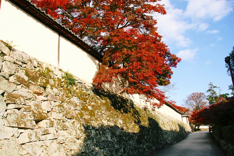坂本の紅葉5 滋賀院門跡_c0196076_6104166.jpg