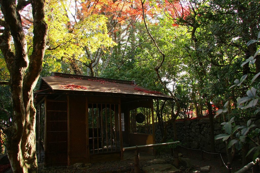 坂本の紅葉6 旧竹林院_c0196076_72365.jpg