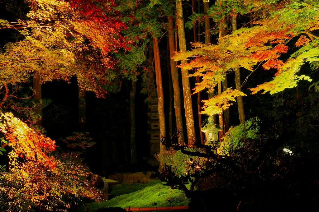 坂本の紅葉6 旧竹林院_c0196076_742882.jpg