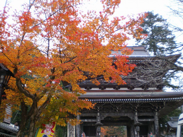 谷汲山華厳寺 紅葉と散策 自然風の自然風だより 谷汲山華厳寺 紅葉と散策 自然風の自然風だより