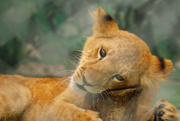 a0146178_17204030.jpg