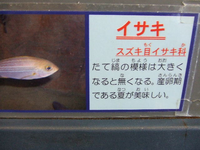 かにっこ館はただの水族館ではなかった_e0047488_1111681.jpg