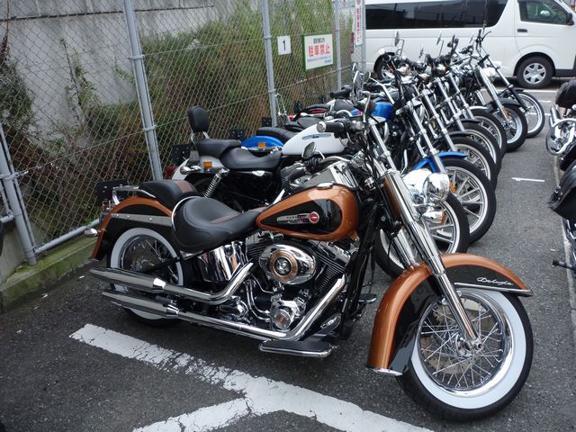 b0190092_2015517.jpg