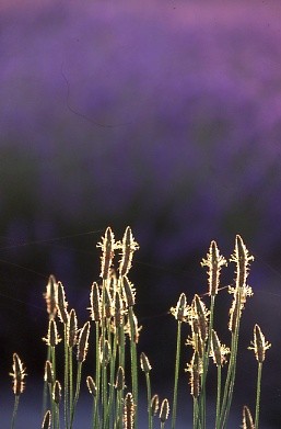 d0025894_2244452.jpg