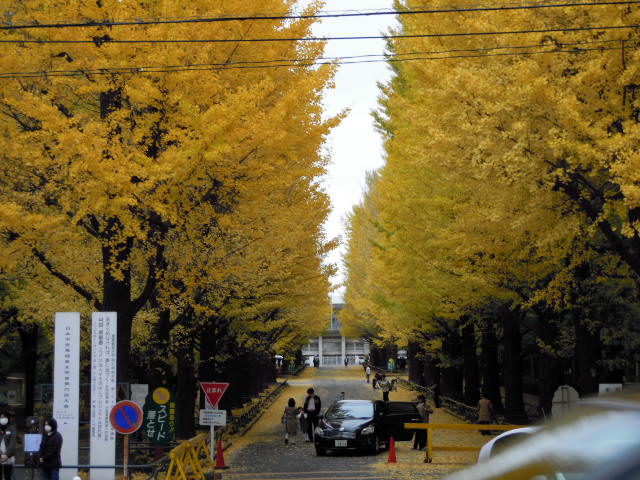e0116694_2226226.jpg