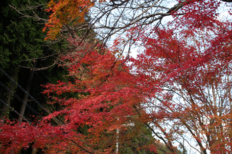 c0100195_12534745.gif
