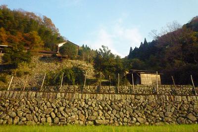 ハデ木小屋_d0087595_11531855.jpg