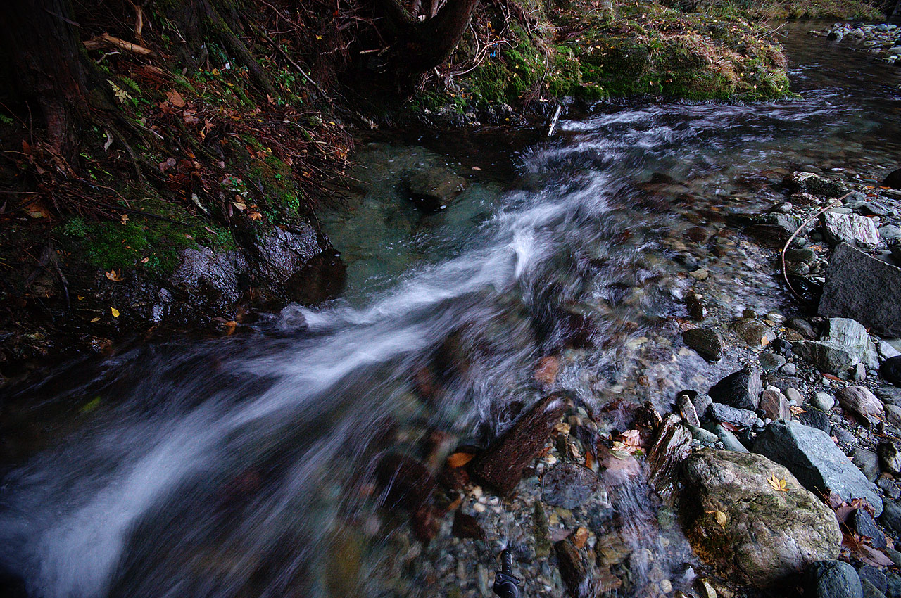 d0146295_21453651.jpg