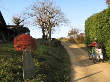 2009.11.28  ジンジン山アプローチコース試走＆リハビリポタ_a0117599_028294.jpg