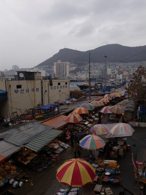 11月29日　雨の釜山_e0123699_22314742.jpg