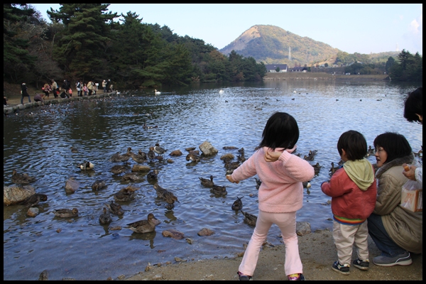 鳥と触れ合う子供たち_c0037200_19544182.jpg