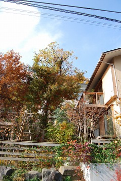 c0124100_17183981.jpg