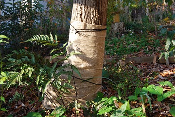 c0124100_17254571.jpg