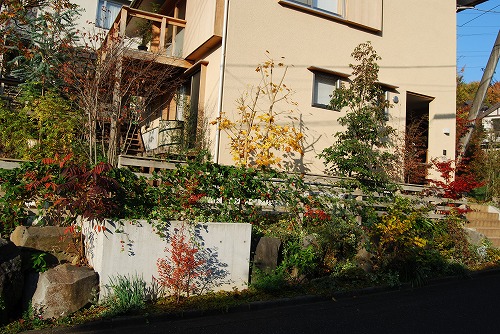 c0124100_17411766.jpg