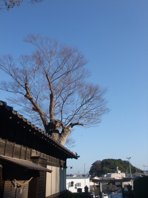 c0183801_2132379.jpg