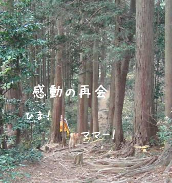 f0068501_1424221.jpg