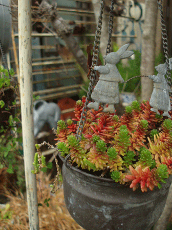 c0129702_23441168.gif