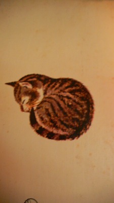 e0183004_2282083.jpg