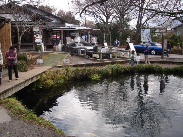 a0116205_226051.jpg