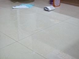 c0220105_1659448.jpg
