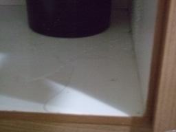 c0220105_170540.jpg