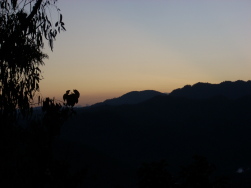 f0116707_14242193.jpg