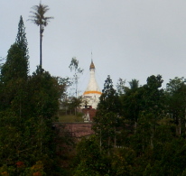 f0116707_1439212.jpg