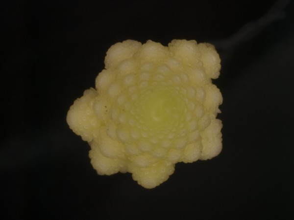 c0164709_20465459.jpg