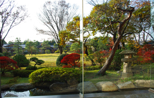 c0048023_7372688.jpg