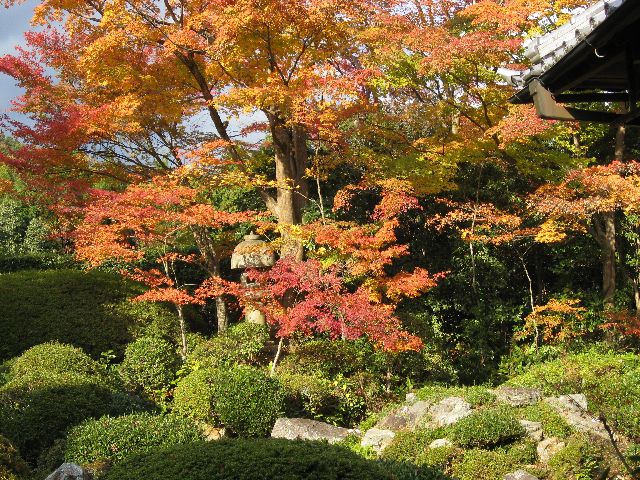 京都の紅葉　1　（11月21日）_d0069623_22303780.jpg