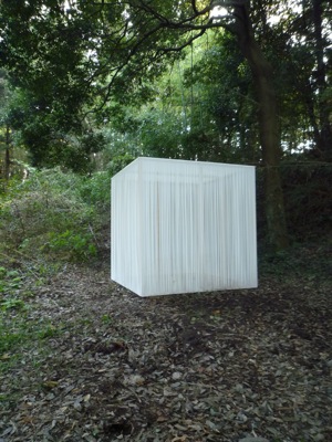 森の文化祭/2009我孫子国際野外美術展_c0004024_9284025.jpg